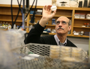 网页电话直接拨打