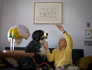 在线轰炸机电话软件